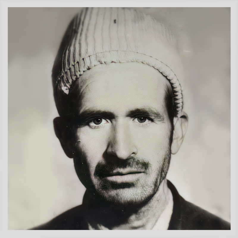 علی جان طبرزدی پور
